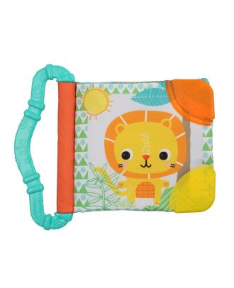 BRIGHT STARTS LIBRO Y MORDILLO